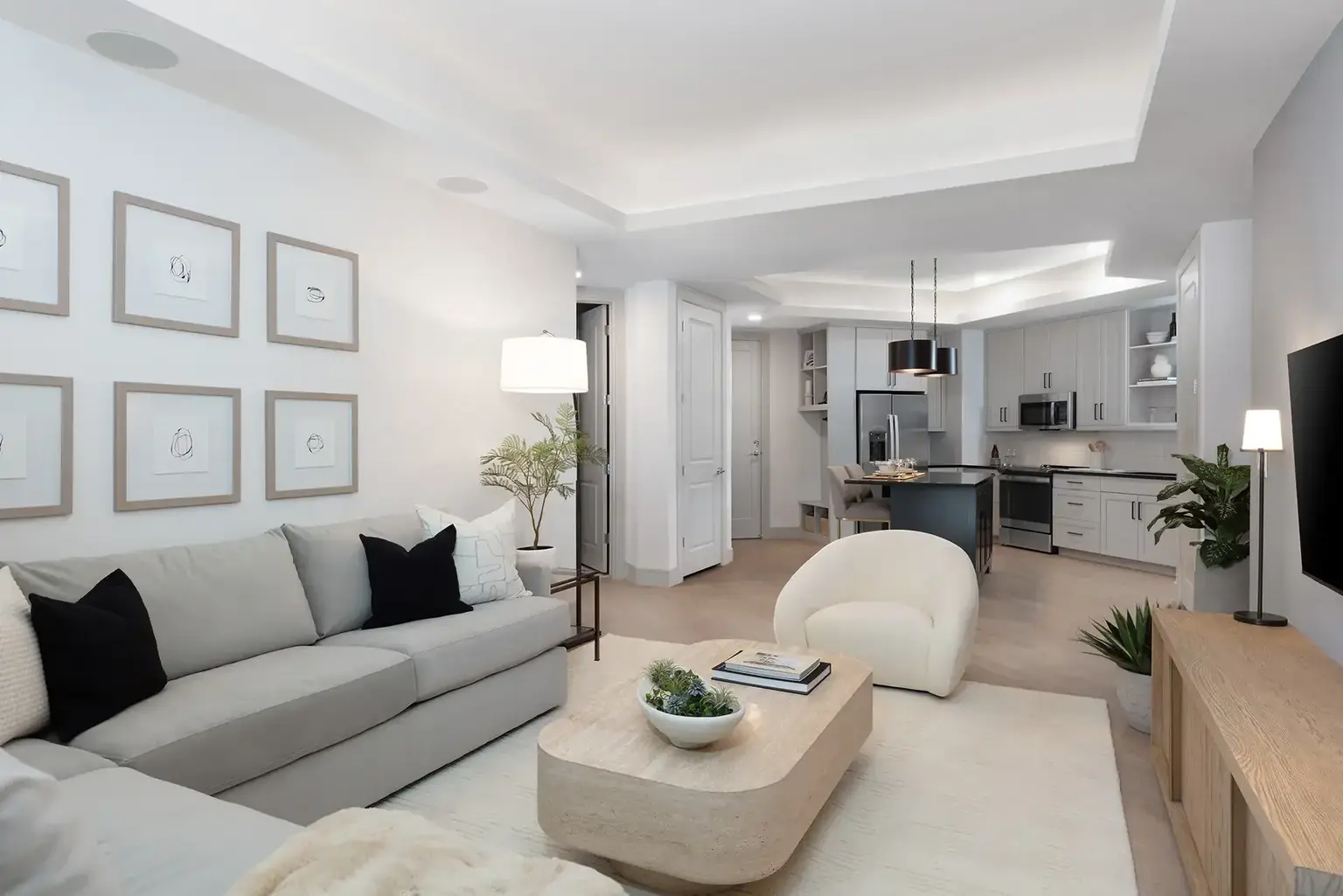 AVE Paradise Valley Living Room 